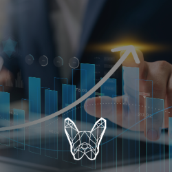 Proven experience across various industries